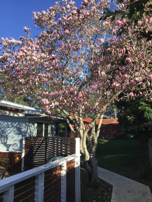 Magnolia Cottage Coffs Harbour Exterior foto
